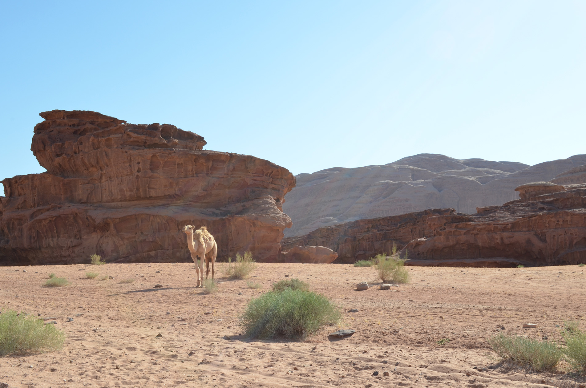 Le désert du Wadi Rum